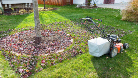 A lawn mower outside in the fall