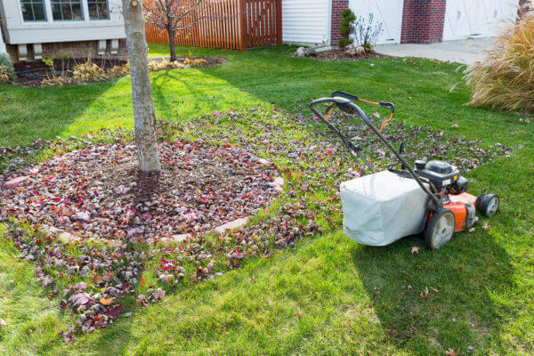 A lawn mower outside in the fall