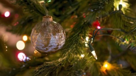 A Christmas tree with lights and a bulb