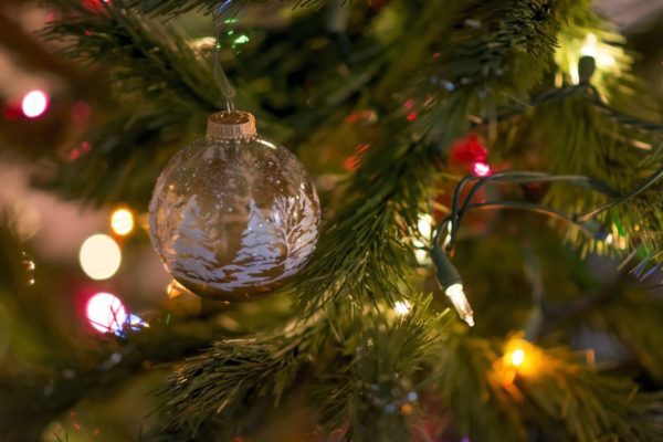 A Christmas tree with lights and a bulb