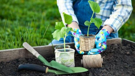 How to Prepare Your Garden for Spring