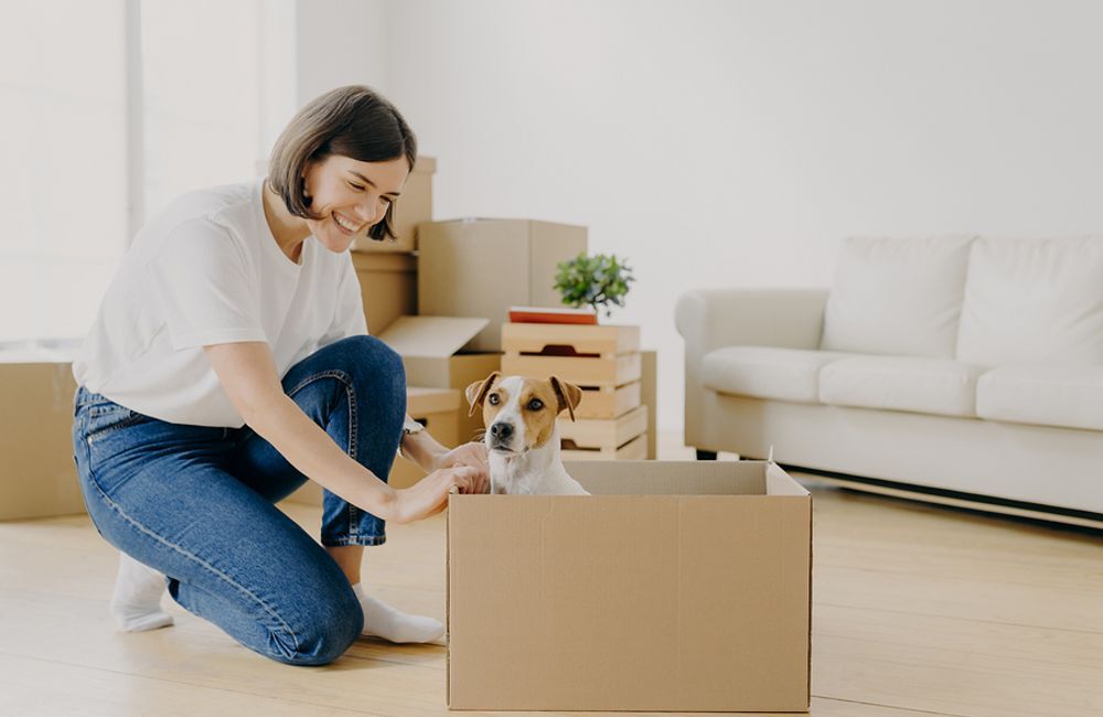 How to Move Pets to a New Home