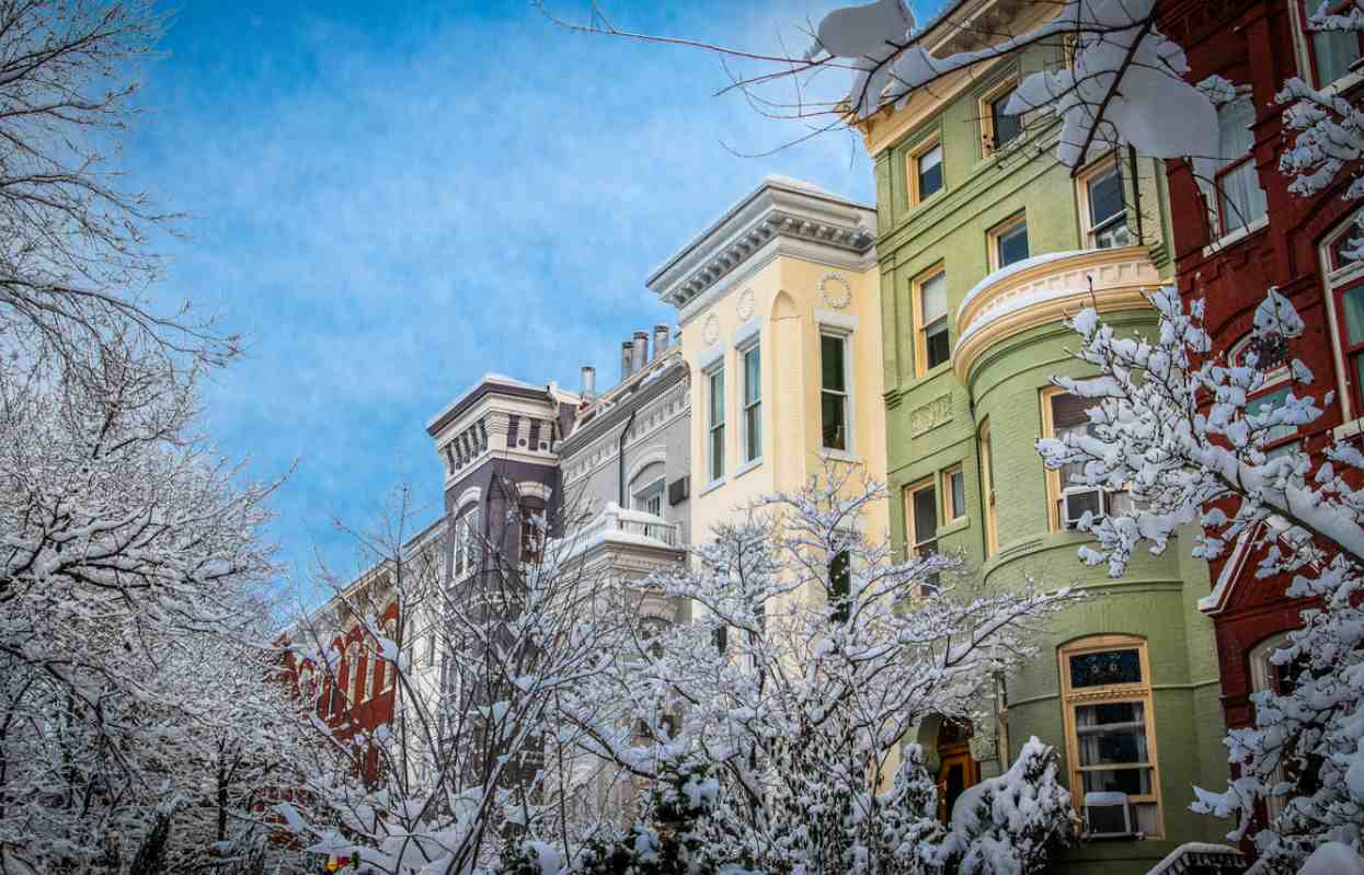 Photograph of a neighborhood during the Winter months through foliage.