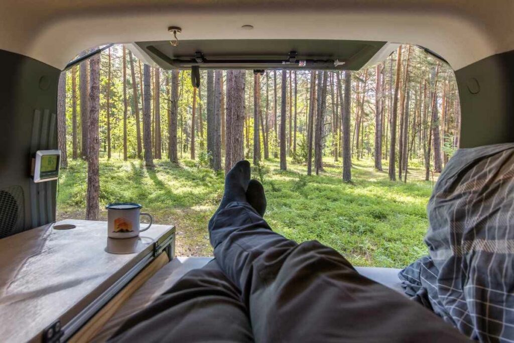 Tranquil morning in the back of a campervan, drinking a cup of coffee surrounded by trees.